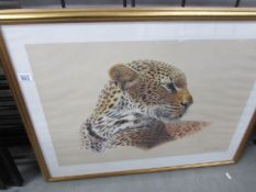 A framed and glazed limited edition signed print 'A Leopard study' by Kim Brooks