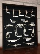 A rope knot display