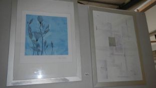 A pair of modern framed and glazed prints