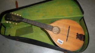 A cased mandolin