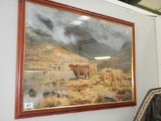 A framed and glazed Highland cattle scene print