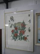 A framed and glazed leopard study print
