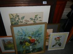 A quantity of floral pictures