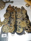 A quantity of horse brasses etc