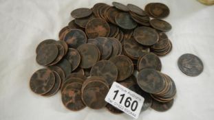 120 old Queen Victoria copper pennies