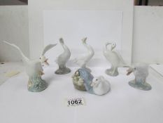 5 Lladro geese and a Lladro duck with ducklings