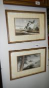 A pair of oriental pictures