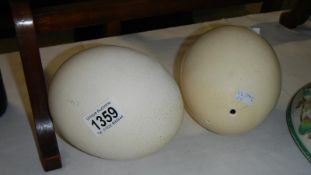 2 ostrich eggs