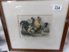 A fine framed and glazed coloured engraving 'Dorking Fowls'