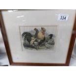 A fine framed and glazed coloured engraving 'Dorking Fowls'