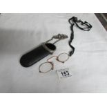 A pince nez in case