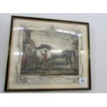 An engraving of a racehorse entitled 'The Portraiture of Babraham' featuring the coat of arms of