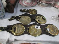 5 Lincolnshire related horse brasses and one other