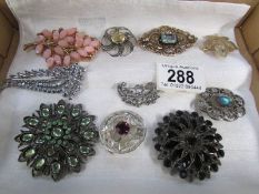 A collection of brooches including 3 silver, one being scottish