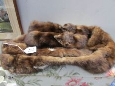 A double stoat fur stole
