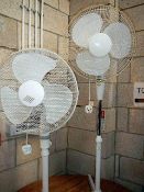 2 free standing fans