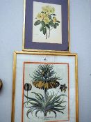 2 framed & glazed flower pictures