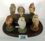 6 Royal Doulton owls on stand