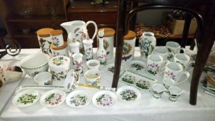 A collection of Portmeirion Botanic Garden pottery