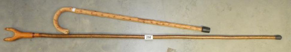 2 walking sticks