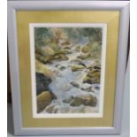 20thC North American Watercolour “Headwater Cascades near Tacoma” 38cm x 27cm, signed Margaret