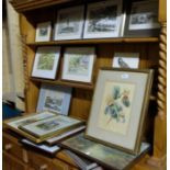 16 framed prints – landscapes, animal scenes etc