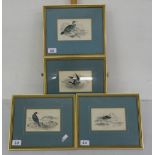 Matching Set of 4 gilt framed lithograph plates – fowl and sea birds, each 11” wide
