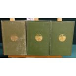 P.W.Joyce, The origin and history of Irish names and places, 1883, 3 volumes, gilt cloth (3)