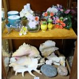 2 shelves – group sea shells & miniature vases with ornamental flowers