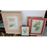 Group of 5 floral prints - roses etc