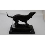 Bronze Table Figure of sporting dog, on a black slate base, 8.5”h