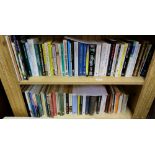 Two shelves of modern Irish Interest Books – literary, novels etc
