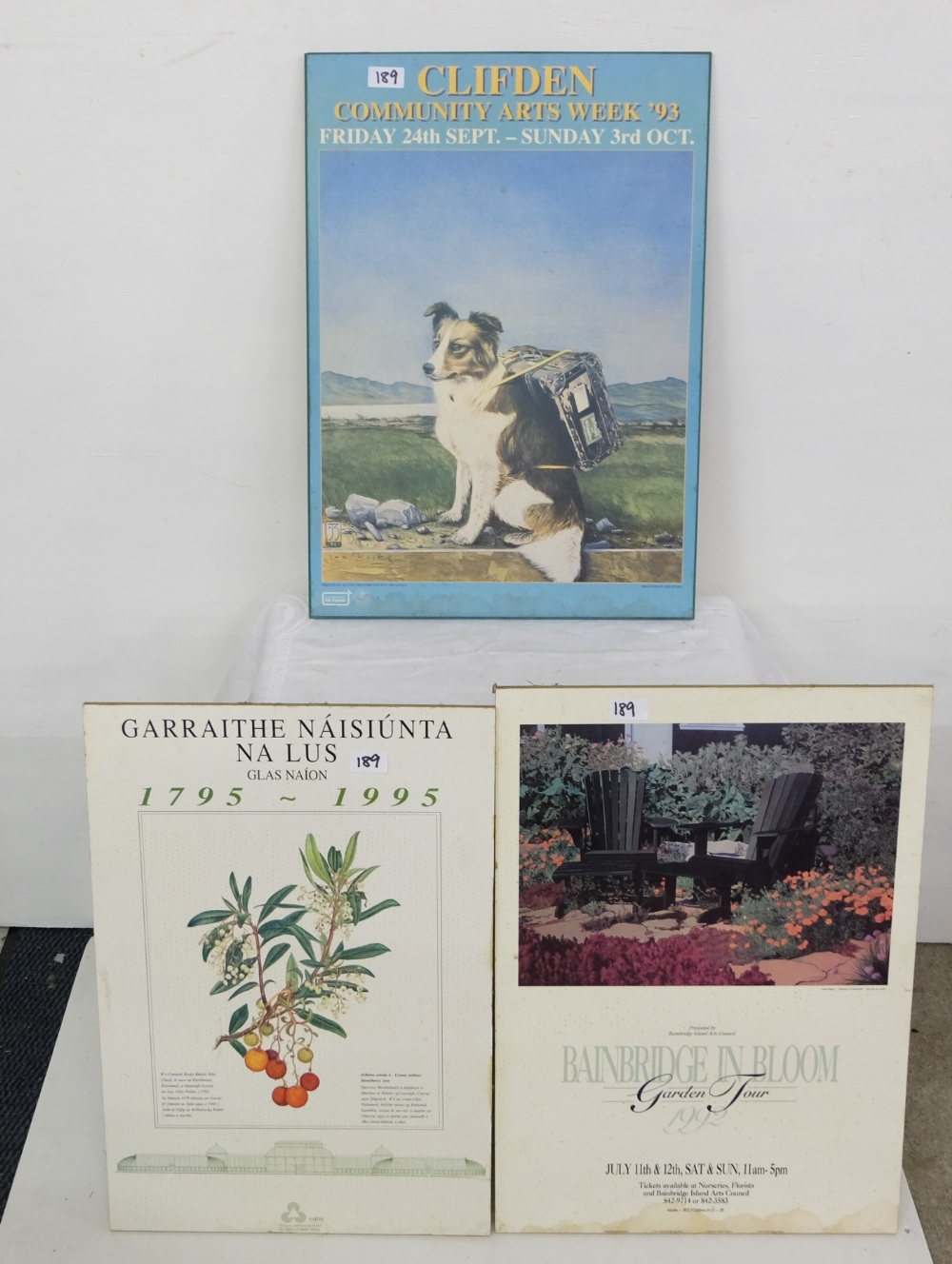 3 x Arts Advertising Boards, Clifden '93 with dog, Banbridge in Bloom & Garraithe Naishunta" (3)