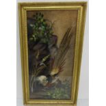 19thC Montage of a Golden Pheasant, comprising an oil painted backdrop with applied feathers and