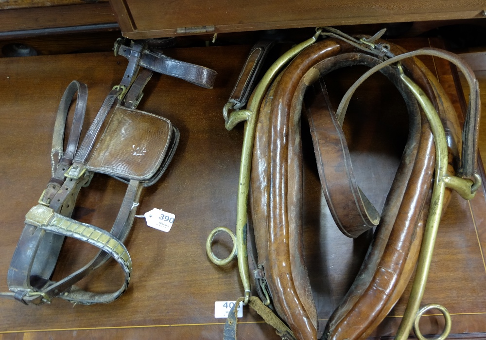 Rare Pony’s Tackle, complete with winkers, leather collar, straddle and britchen, brass hymes, - Image 2 of 2