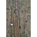 Assortment of aboriginal hardwood ceremonial spears