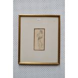 Norman Lindsay, pencil drawing, see page 18 Norman Lindsay Impulse to Draw by Lin Bloomfield (Bay