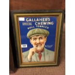 Framed Gallagher's Chewing Tobacco advertisement.