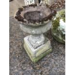 Composition garden urn on pedestal.