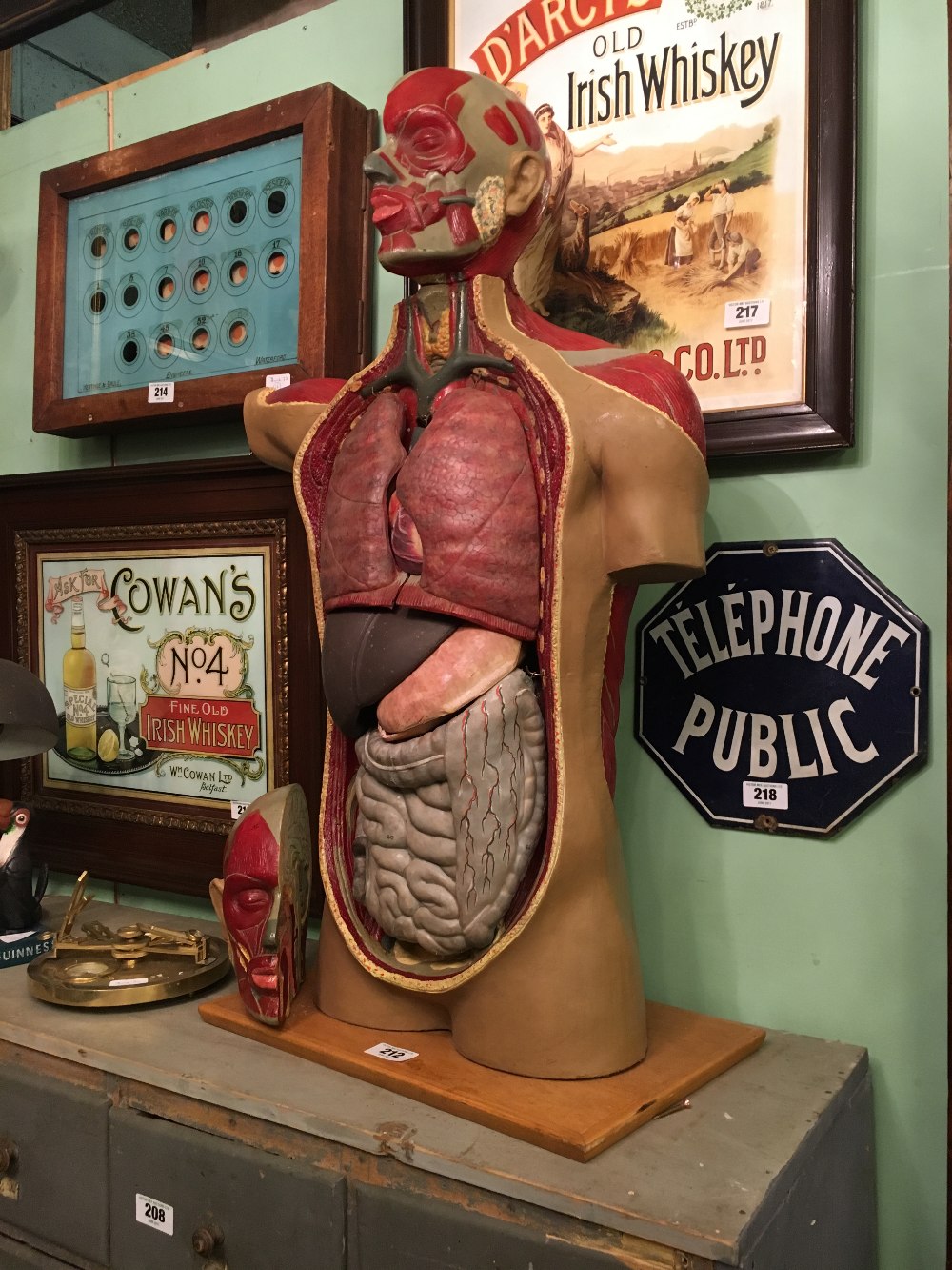 Human anatomy mannequin.