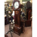 William IV. Mahogany drum head long cased clock.