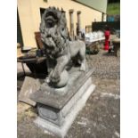 Pair of composition lions on plinths.