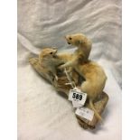 Taxidermy pair of stoats on wooden branch.