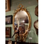 Regency oval gilt mirror. (113 cm H x 57 cm W).