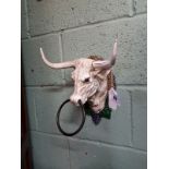 Cast iron wall tie in the form of a bulls head.