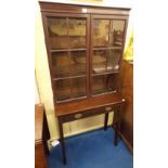 19TH CENTURY GLAZED CABINET