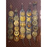 VINTAGE HORSE BRASSES ON FIVE LEATHER SADDLE STRAPS