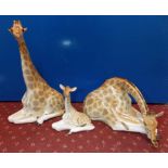 LOMONOSOV MADE IN USSR RECUMBENT GIRAFFE AND CALF MODELS