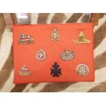 FRAMED AND GLAZED BOARD OF MILITARY REGIMENTAL INSIGNIA INCUDING THE ROYAL WARWICKSHIRES,