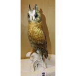 KARL ENS-VOLKSTEDT LONG EARED OWL FIGURE GROUP 26cm HIGH